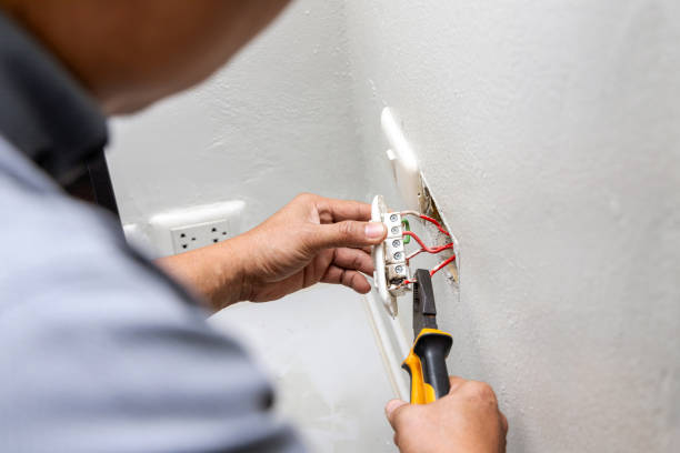 Best Affordable Electrician  in Forest Hills, TN